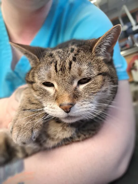 Maple Hills Veterinary Hospital Picture 10