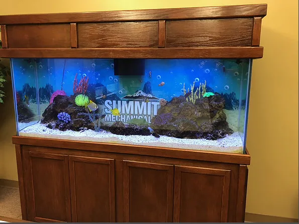 Seascape Designs Inc. Picture 3