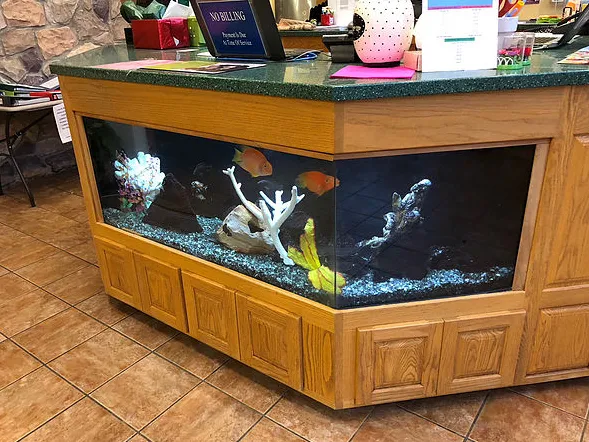 Seascape Designs Inc. Picture 5