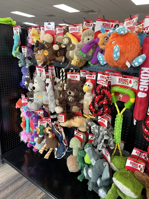 Yarn and Bone Pet Supply Hockessin Picture 9