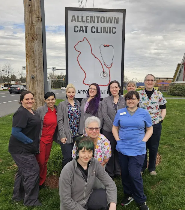Allentown Cat Clinic, PC Picture 4