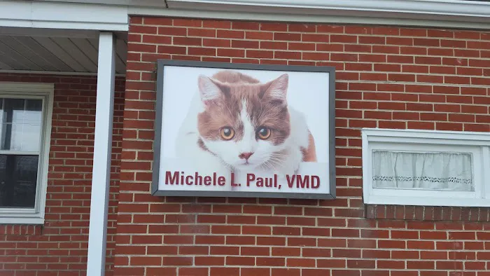 Allentown Cat Clinic, PC Picture 6