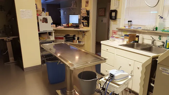 Allentown Cat Clinic, PC Picture 8