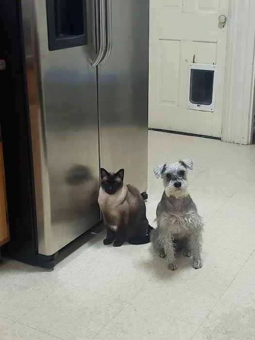 Simmonds Veterinary Hospital LLC Picture 6