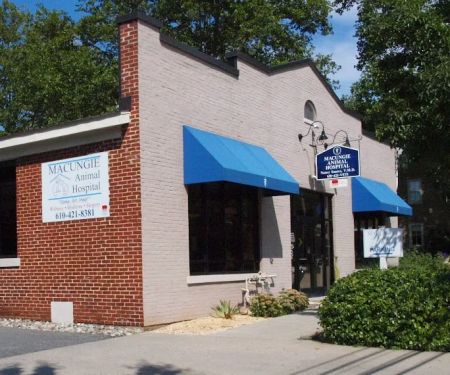Macungie Animal Hospital
