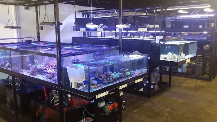 Armco Aquatics Picture 3
