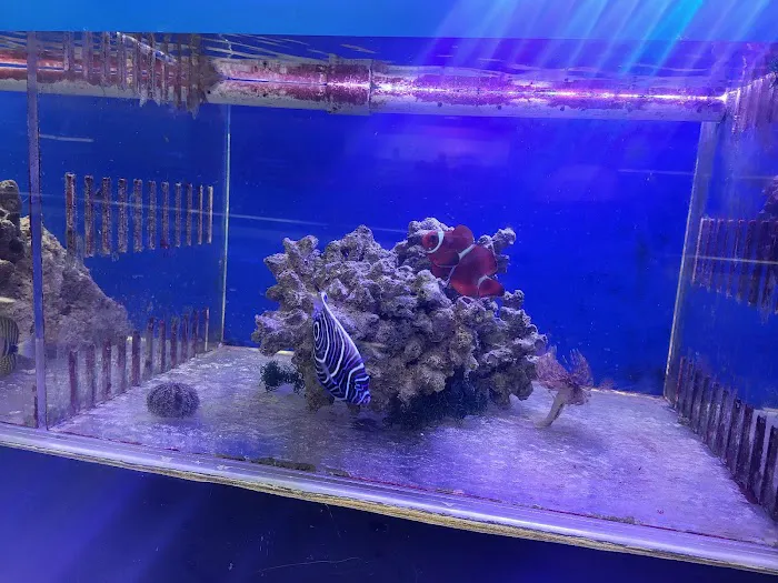 William's Greenbank Aquarium Inc Picture 1