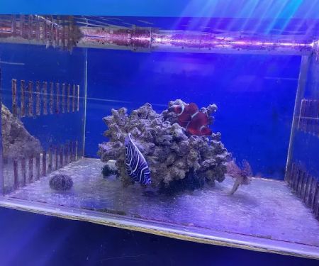 William's Greenbank Aquarium Inc