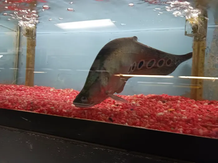 William's Greenbank Aquarium Inc Picture 6