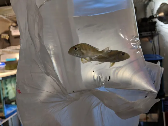 William's Greenbank Aquarium Inc Picture 5