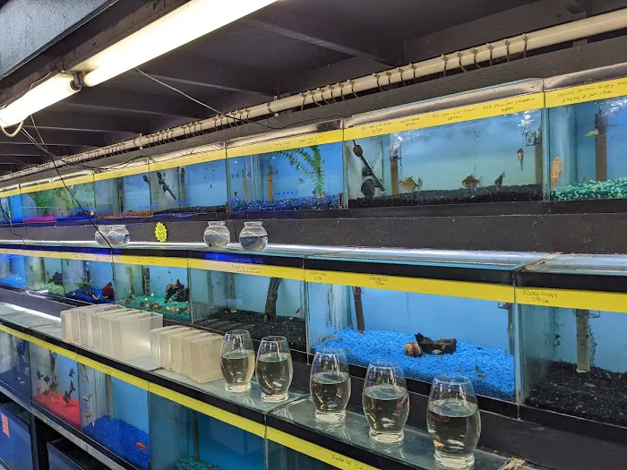 William's Greenbank Aquarium Inc Picture 4