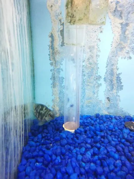 William's Greenbank Aquarium Inc Picture 9