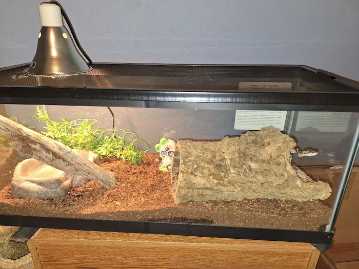 William's Greenbank Aquarium Inc Picture 7