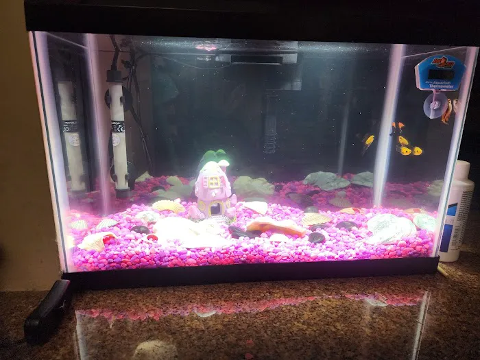 William's Greenbank Aquarium Inc Picture 10