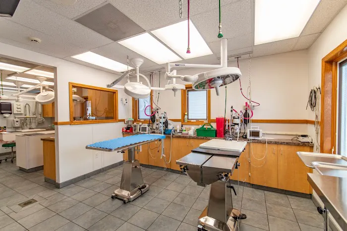 Hamilton Animal Care Picture 1