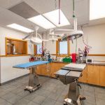 Hamilton Animal Care