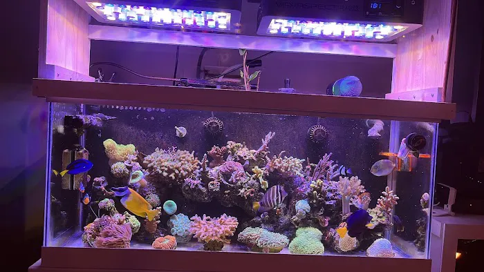 Frags 2 Fishes Picture 1