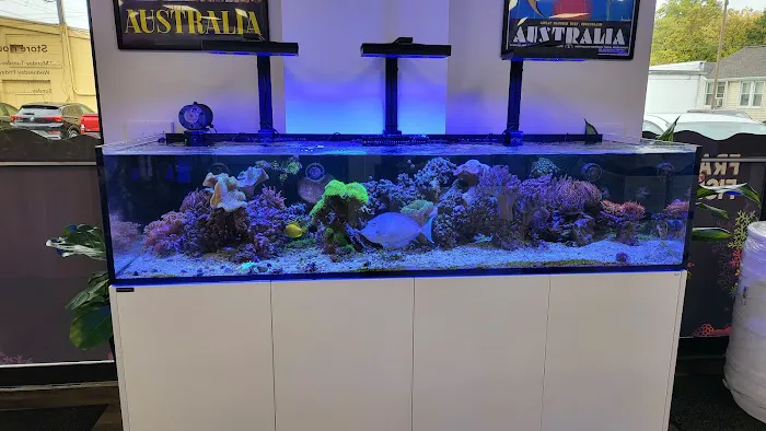 Frags 2 Fishes Picture 10