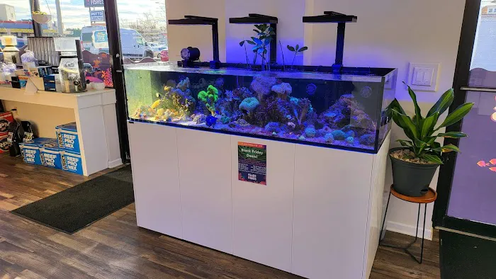 Frags 2 Fishes Picture 7