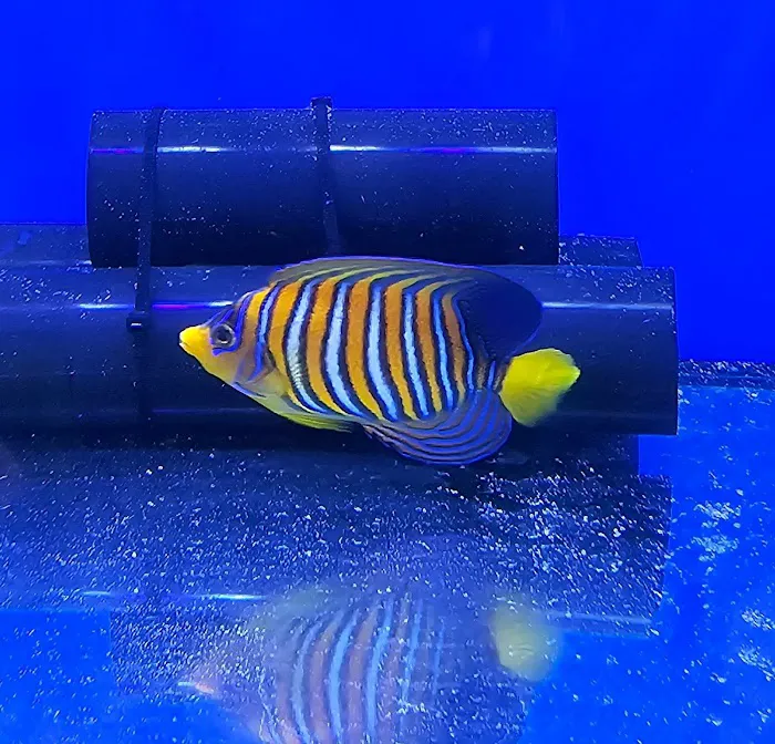 Frags 2 Fishes Picture 9