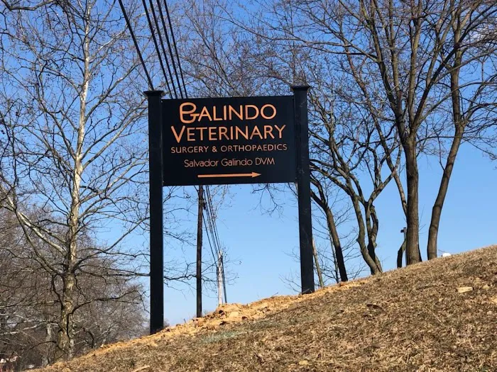 Galindo VSO Picture 6