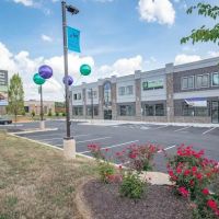 Hamilton Animal Care of the Lehigh Valley ico