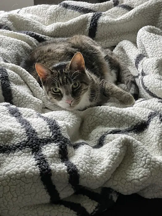 Hamilton Animal Care of the Lehigh Valley Picture 7