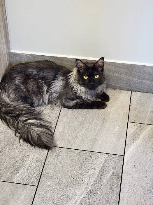Hamilton Animal Care of the Lehigh Valley Picture 10