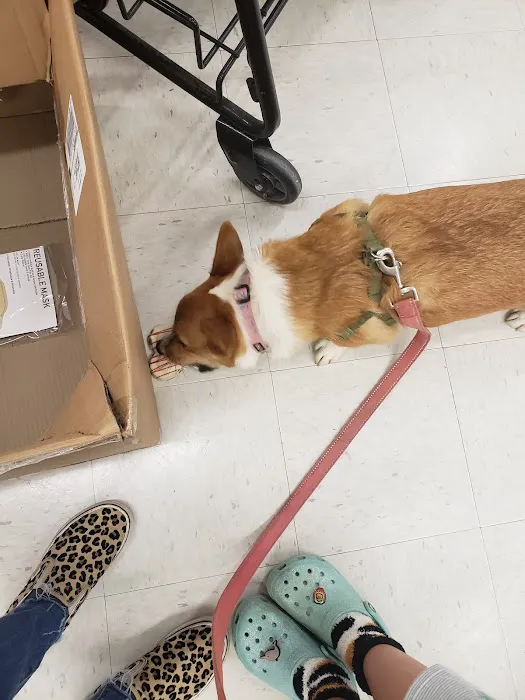 Petco Picture 4