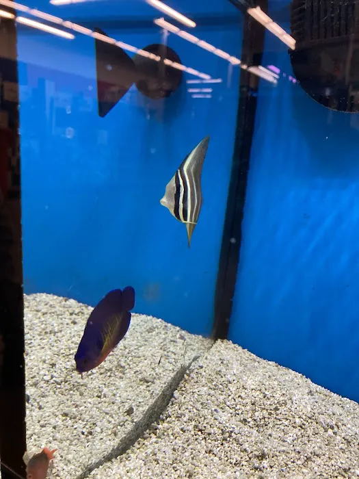 Petco Picture 3