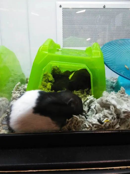 Petco Picture 6