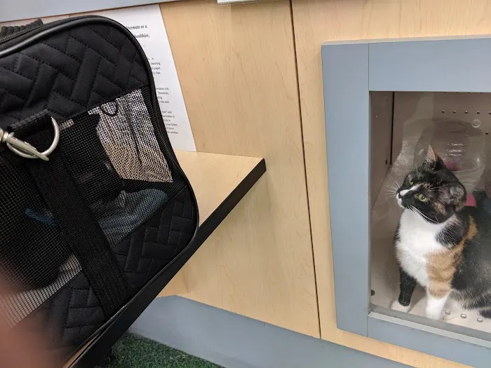 Petco Picture 8