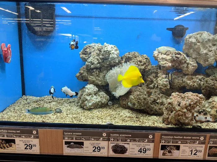 Petco Picture 7