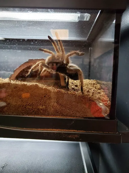 Fish & Beyond Pet Center Picture 1