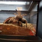 Fish & Beyond Pet Center