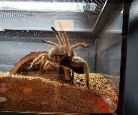 Fish & Beyond Pet Center