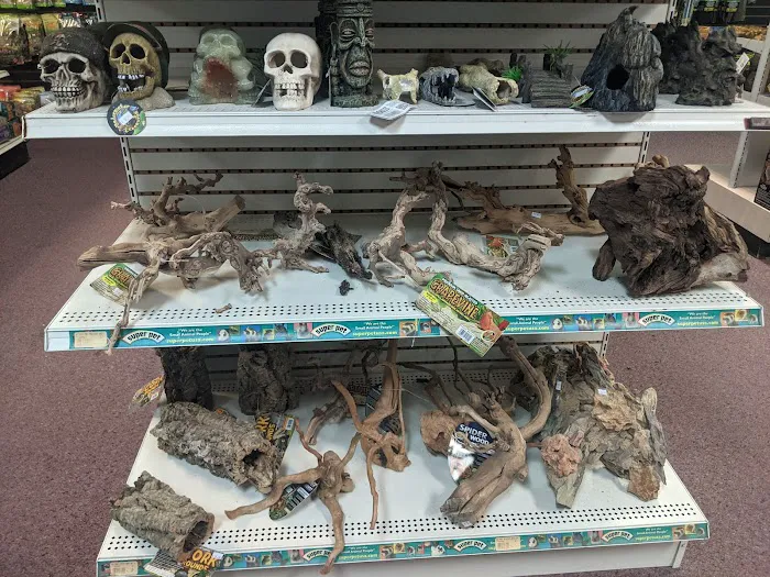 Fish & Beyond Pet Center Picture 3