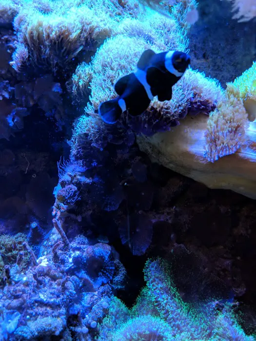 Fish & Beyond Pet Center Picture 2