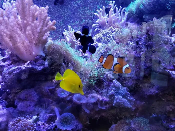 Fish & Beyond Pet Center Picture 6