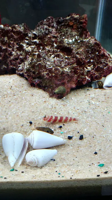 Fish & Beyond Pet Center Picture 4