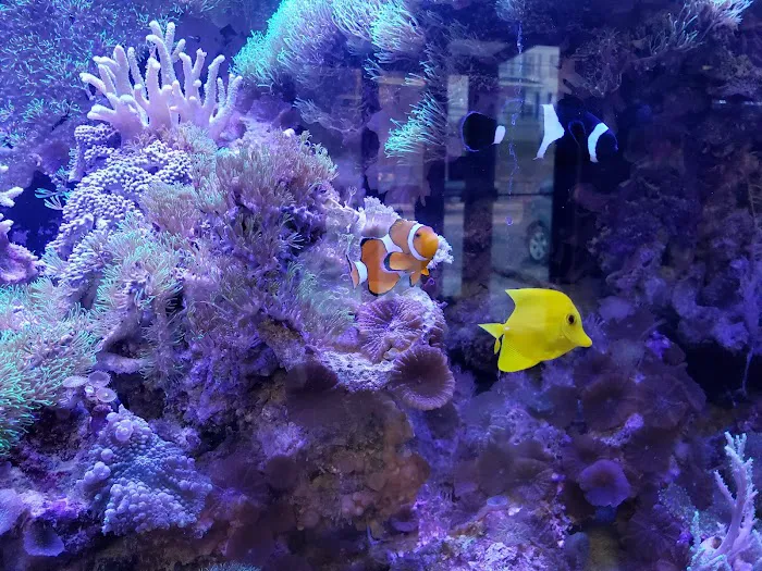 Fish & Beyond Pet Center Picture 5