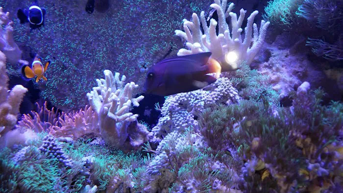 Fish & Beyond Pet Center Picture 9
