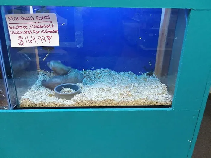 Fish & Beyond Pet Center Picture 8