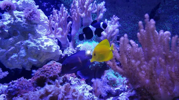 Fish & Beyond Pet Center Picture 10