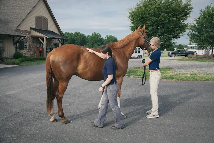 Unionville Equine Associates PC Picture 3
