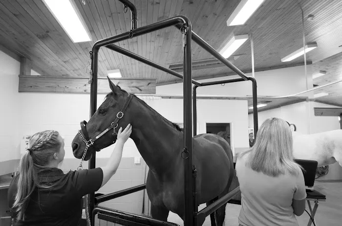 Unionville Equine Associates PC Picture 4