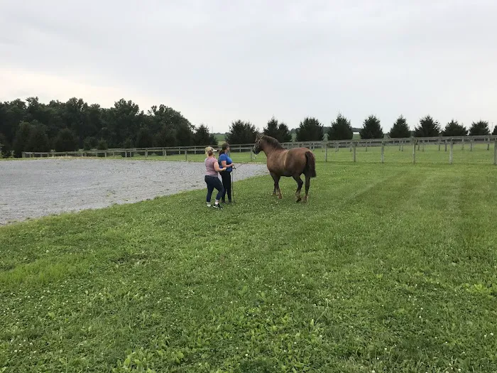 Unionville Equine Associates PC Picture 8