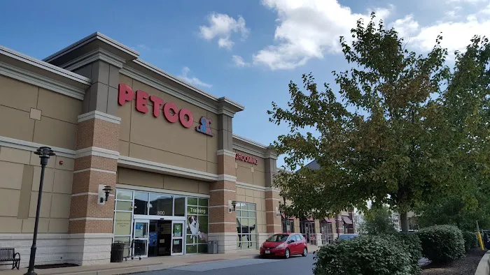 Petco Picture 3