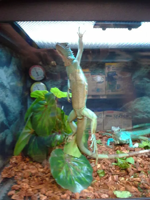 Petco Picture 2