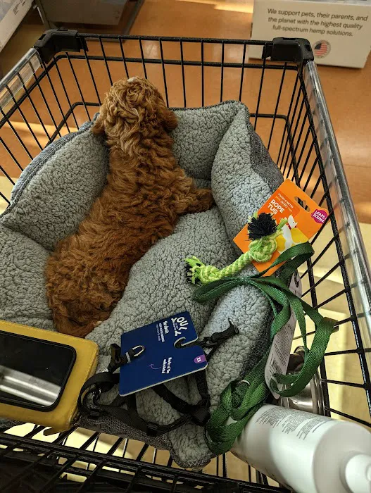 Petco Picture 5